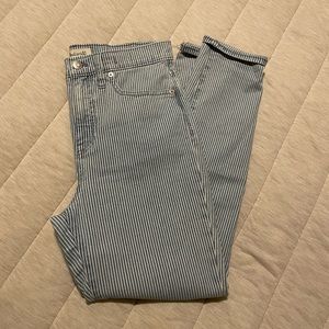 Madewell 10" High-Rise Skinny Crop Jeans in Piper Stripe